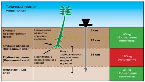 Пример уплотнения почвы